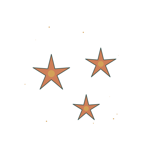 Original Coastal Starfish Sampler illustration for upcoming cross stitch PDF pattern; design artwork not a stitched sample