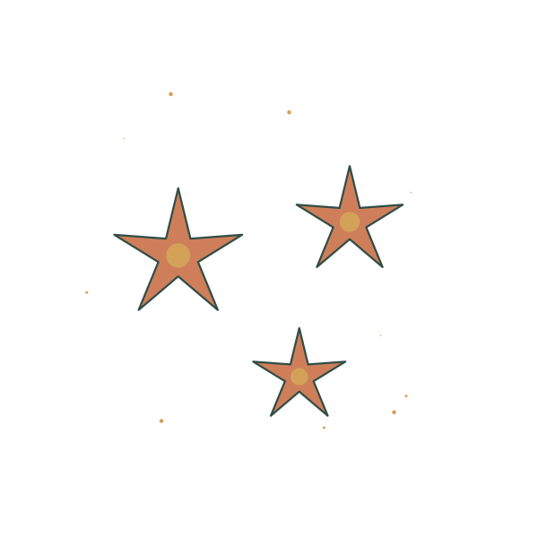 Coastal Starfish Sampler - Original Design Artwork Original Coastal Starfish Sampler illustration for upcoming cross stitch PDF pattern; design artwork not a stitched sample